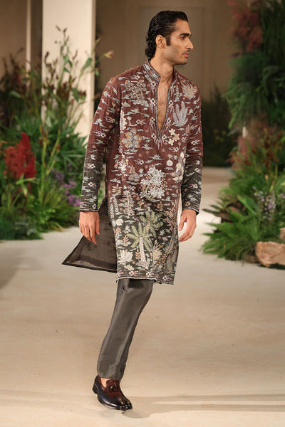 Cherrycloud - teakberry- gunmetal organza & dupion kurta set