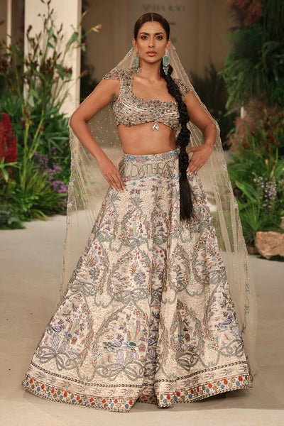 Everwild - silver Banarasi Tissue Brocade & tulle net lehenga set