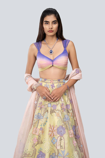 Darya - Lime Satin Organza Lehenga Set-RTS
