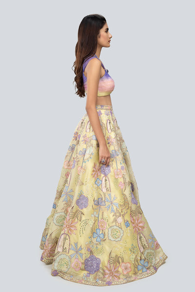 Darya - Lime Satin Organza Lehenga Set-RTS