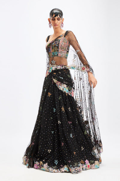 Delphinia - Black Tulle Net Saree Set-RTS