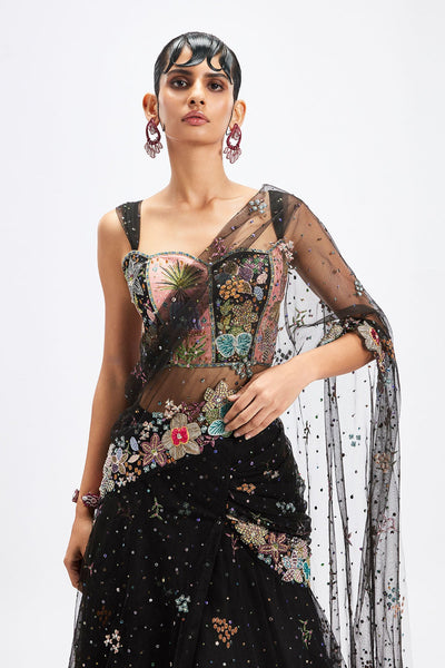 Delphinia - Black Tulle Net Saree Set-RTS
