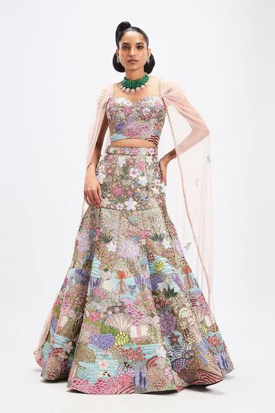 Sharvari in aisha rao Matilda grey tissue lehenga with blouse and net cape