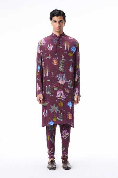 Celestique - printed mulberry crepe kurta