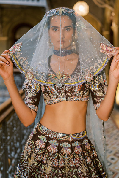 Detailed view of Aisha Rao embellished lehenga with sheer dupatta
