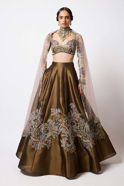 Woman wearing Aisha Rao Copper Metallic Applique Embellished Tissue Mk Lehenga With