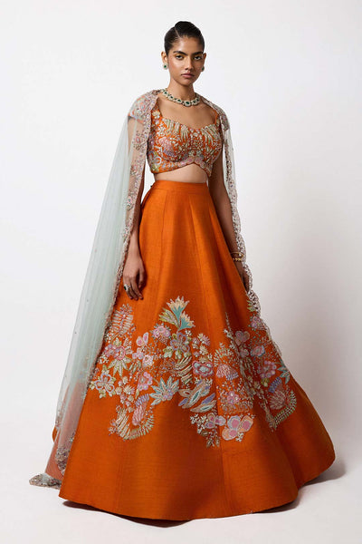 Aisha Rao MK lehenga with applique blouse front profile