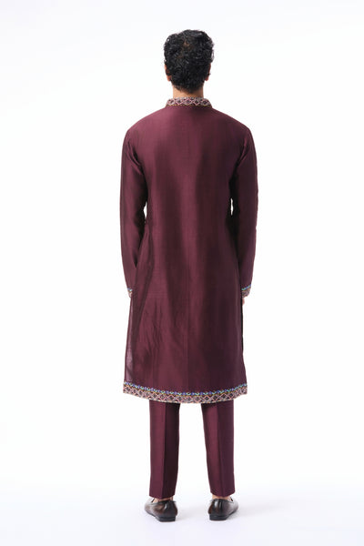 Back profile of the teakberry applique embellished chanderi silk kurta paired with pants.