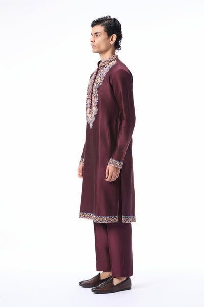 Meadowlark - teakberry chanderi silk kurta