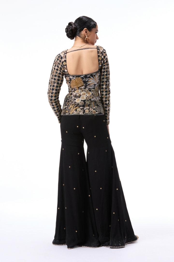 Moonlush - Black raw silk & double georgette gharara