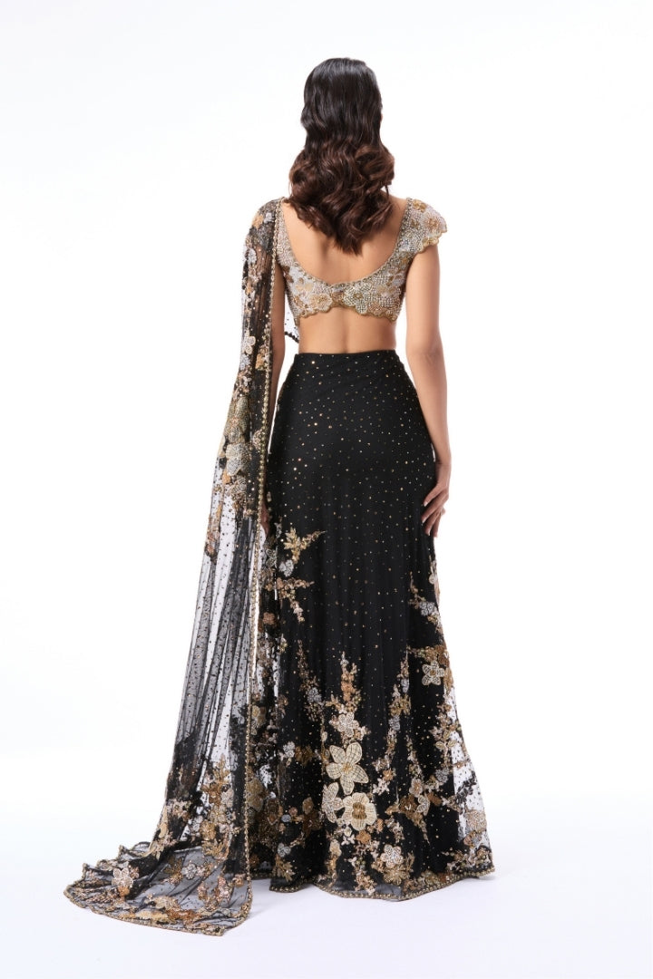 Dreamveil - Black tulle draped saree