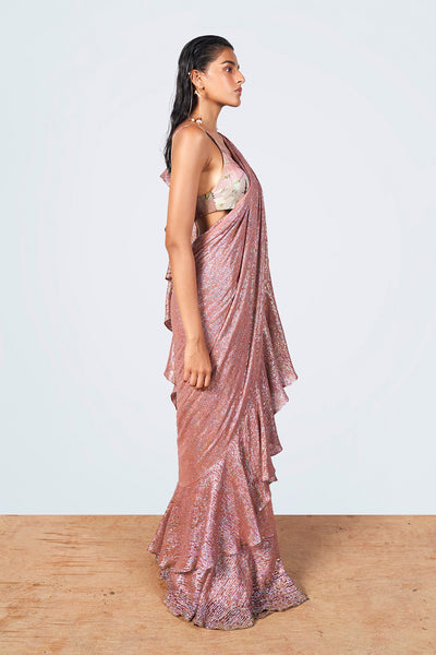 Left profile of multicolor lurex saree and printed blouse.